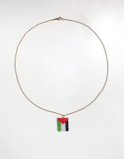 Fundraiser - Palestine Flag Charm Necklace